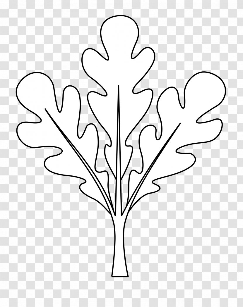 Oak Tree Leaf - Blazon - Plane Blackandwhite Transparent PNG