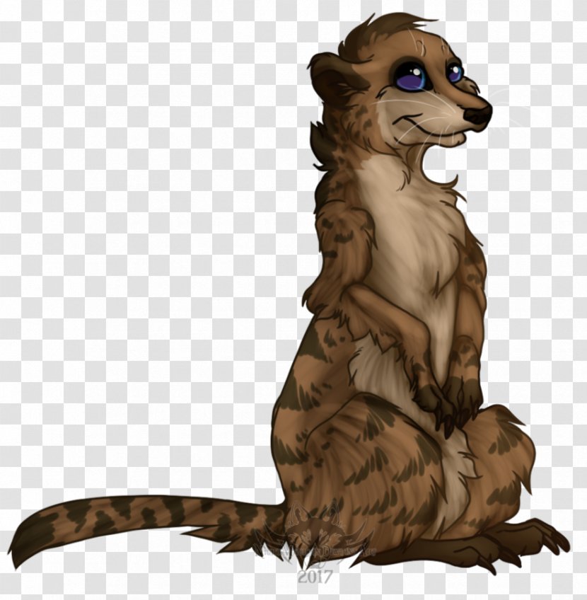 Raccoon Meerkat Beaver YouTube Canidae Transparent PNG