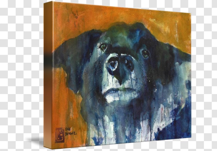 Dog Breed Watercolor Painting Sporting Group Retriever - Picture Frame Transparent PNG