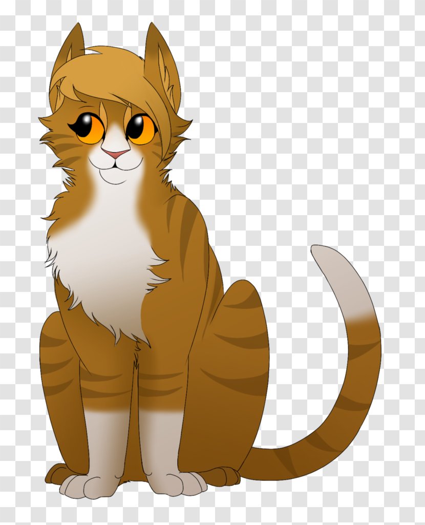 Whiskers Kitten Gray Wolf Cat Red Fox - Like Mammal Transparent PNG