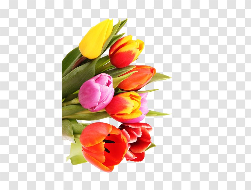 Tulip Flower Bouquet Raster Graphics Nosegay - Beautiful Colored Transparent PNG