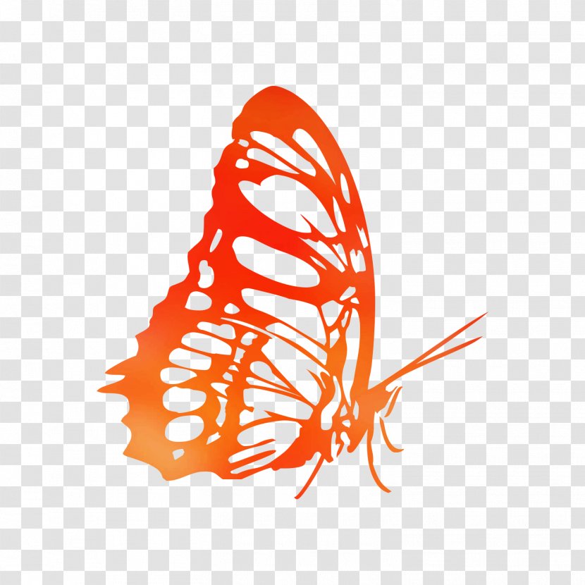 Monarch Butterfly Coloring Book Illustration Drawing - Moths And Butterflies - Wing Transparent PNG