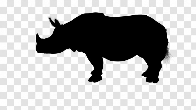 Angus Cattle Charolais Silhouette Illustration Beef - Snout - White Rhinoceros Transparent PNG