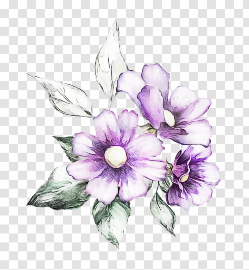 Flower Violet Petal Purple Plant - Wildflower Flowering Transparent PNG