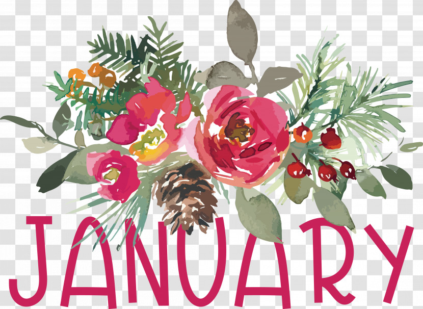 Floral Design Transparent PNG