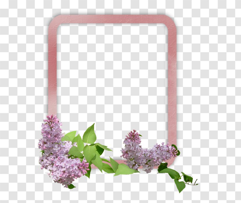 Flower Download - Lilac Transparent PNG