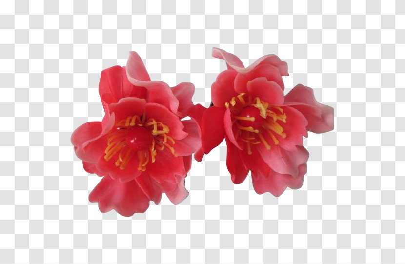 Peony Camellia - Petal Transparent PNG