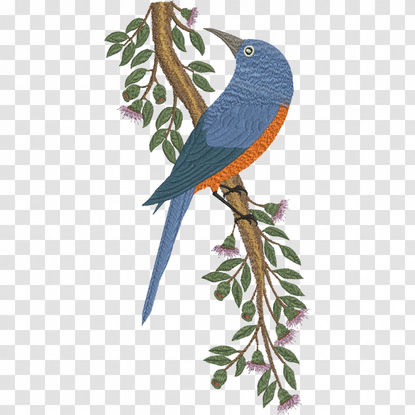 Bird Parrot Machine Embroidery Macaw Transparent PNG