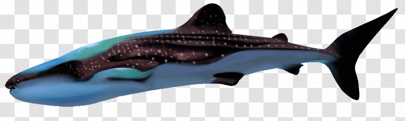 Requiem Sharks Hammerhead Shark Whale Transparent PNG