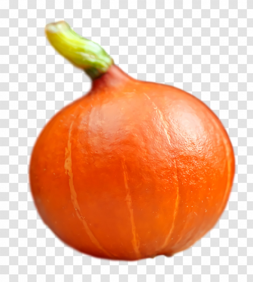 Orange Transparent PNG