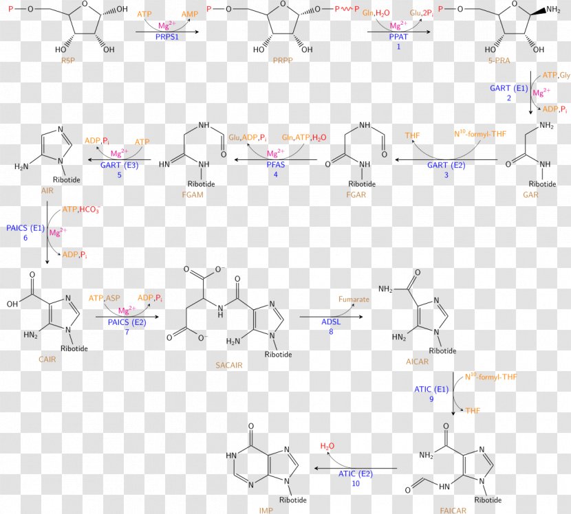 Chemical Synthesis Biosynthesis Aqueous Solution Solid-phase - Watercolor - Enzyme Transparent PNG