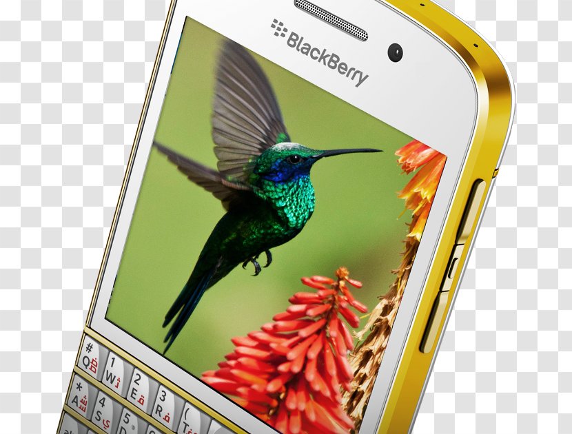 BlackBerry Q10 Leap Classic Z3 Limited - Blackberry - Smartphone Transparent PNG