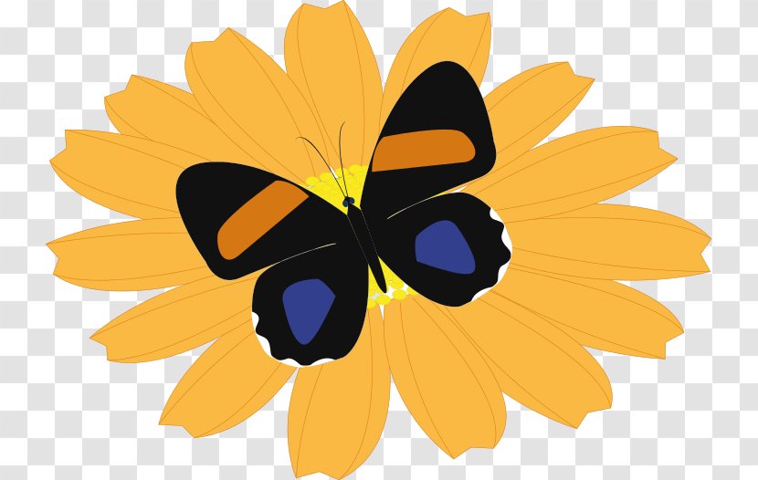 Butterfly Flower Clip Art - Butterflies And Moths - Orange Transparent PNG