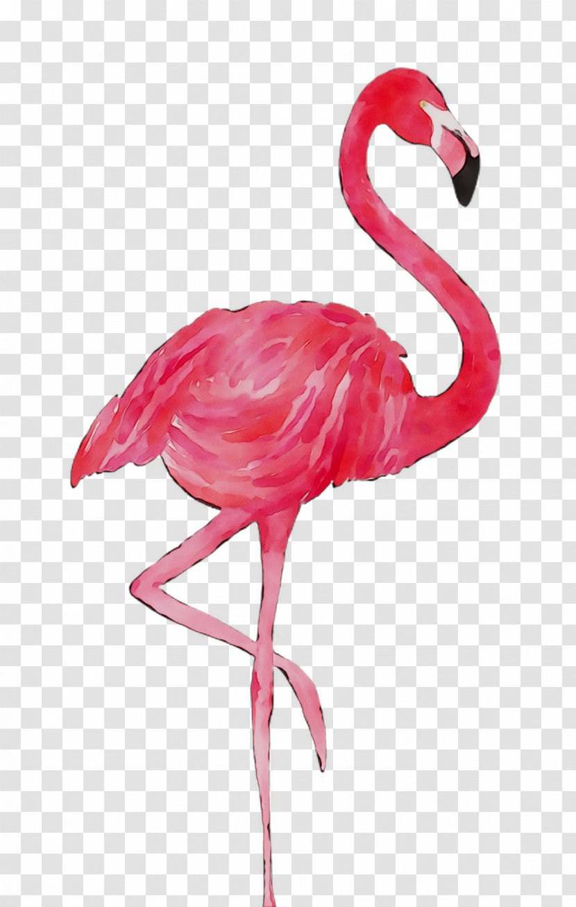Flamingo T-Shirt Top - Neck - Pink Transparent PNG