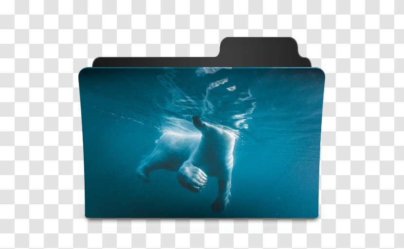 National Geographic Underwater Photography Polar Bear Transparent PNG