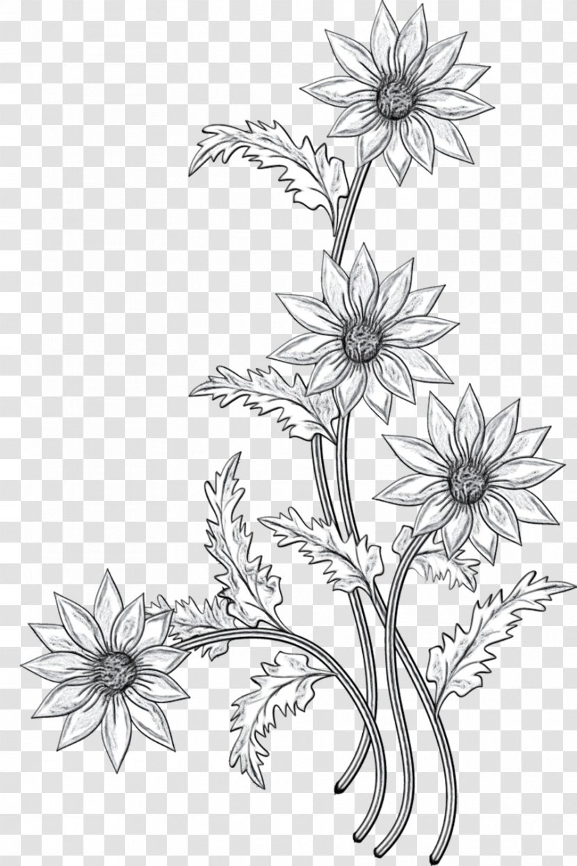 Floral Design Cut Flowers Black & White - Leaf - M Sketch Transparent PNG