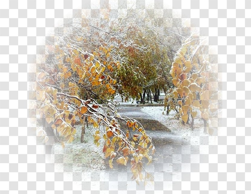 Golden Autumn Child Winter Rain - Landscape Transparent PNG