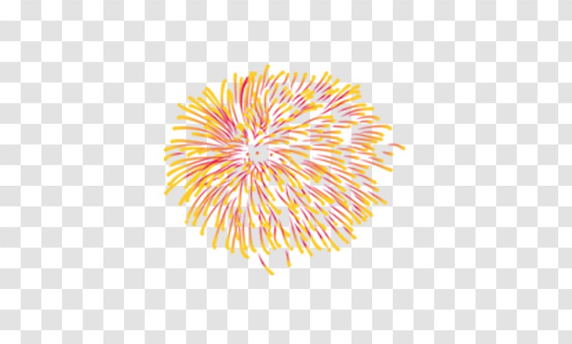 Fireworks - Vecteur - Symmetry Transparent PNG