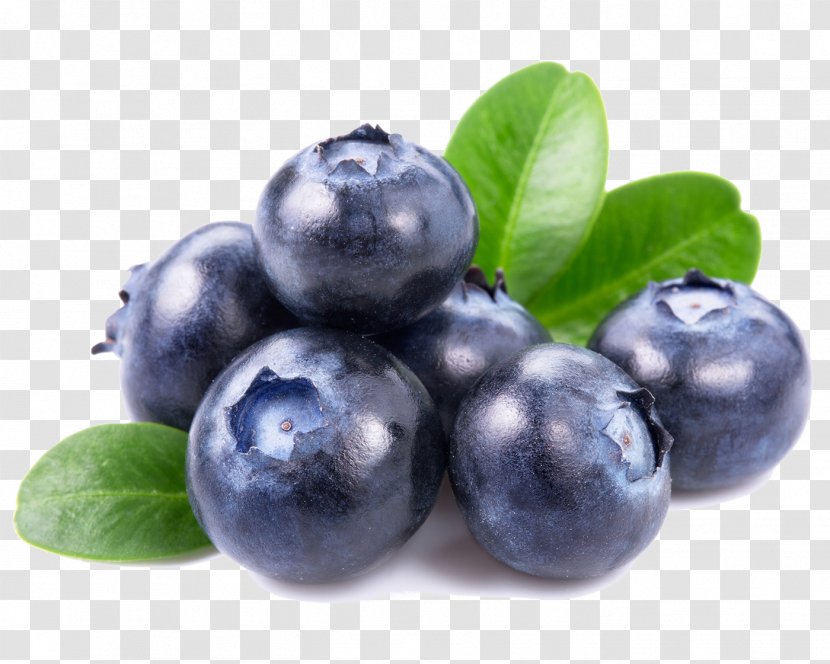 Blueberry Organic Food Health Superfood Cranberry - Prune - Broccoli Transparent PNG