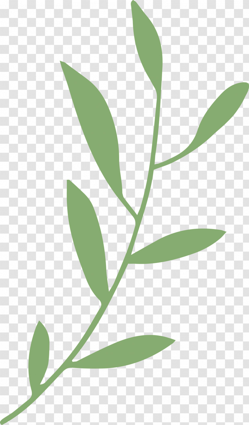 Leaf Branch Transparent PNG