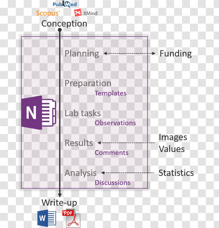 Document Line Microsoft OneNote Angle - Text Transparent PNG