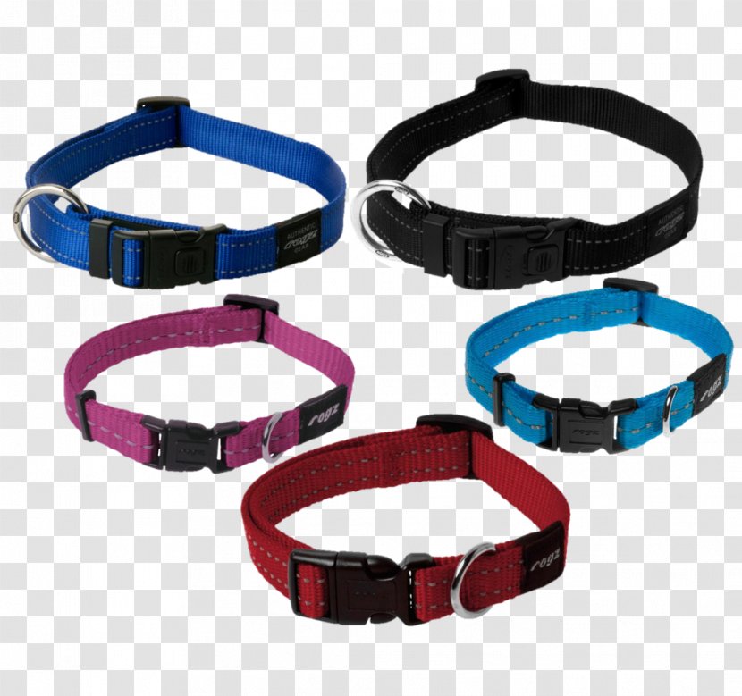 Leash Dog Collar Harness Pug - Buckle Transparent PNG