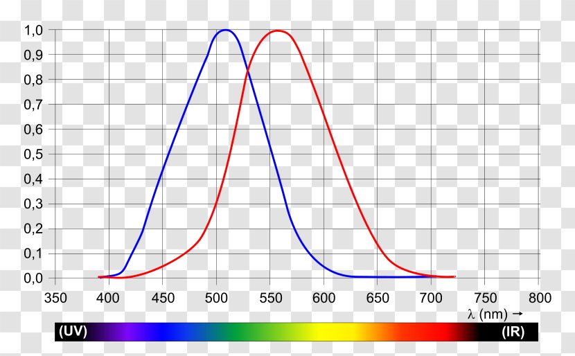 Light Photopic Vision Wavelength Luminosity Function Visual Perception - Eye Transparent PNG