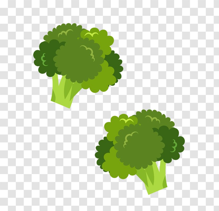 Bento Broccoli Vegetable Food Transparent PNG
