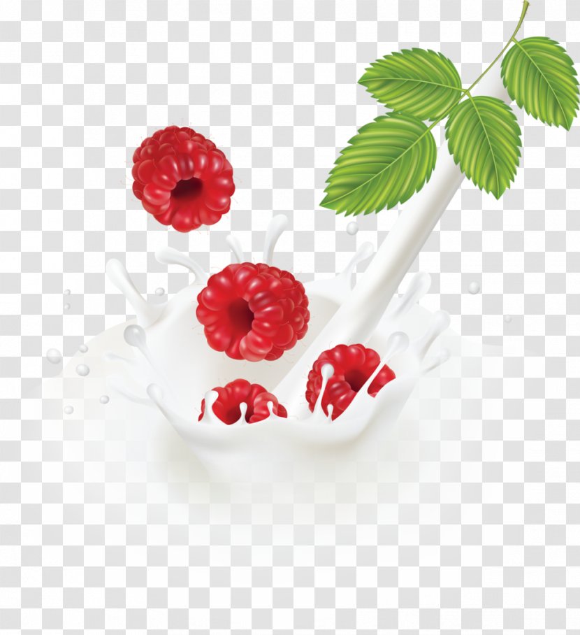 Milk Cranberry Fruit - Frutti Di Bosco - Raspberry Transparent PNG