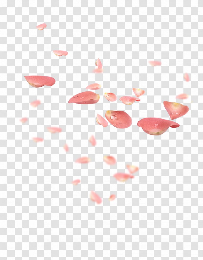 Petal Pink Flower Red - Green - Falling Petals Transparent PNG