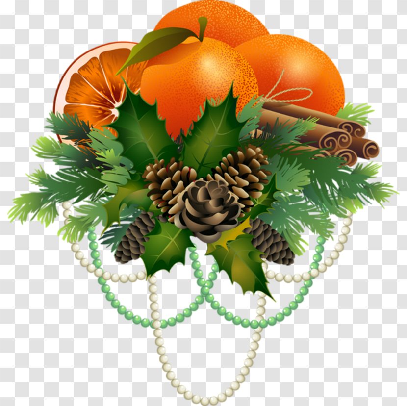 Christmas Day Design Vector Graphics Fruit Image - Flower Transparent PNG