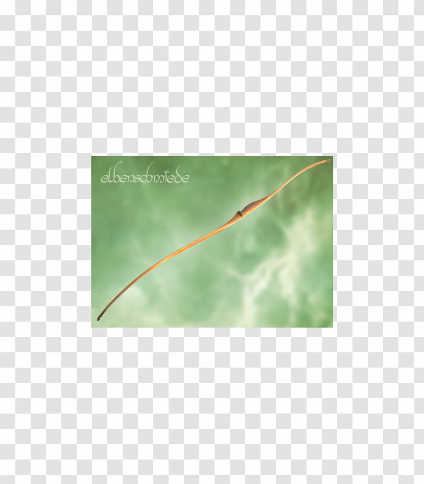 Leaf Plant Stem Angle Sky Plc - Watercolor Transparent PNG