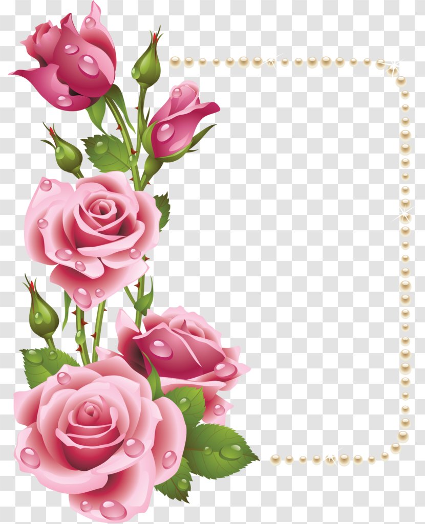 Rose Clip Art - Rosa Centifolia Transparent PNG