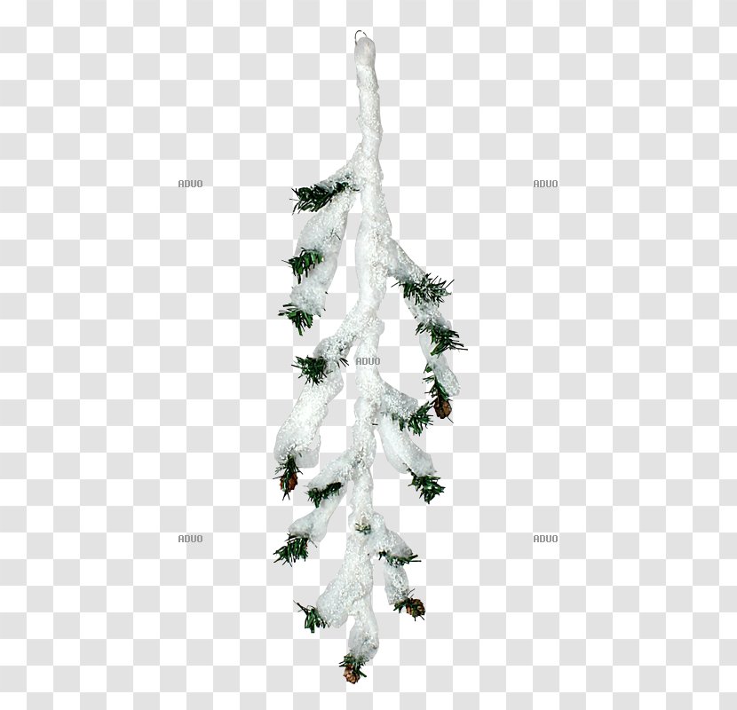 Spruce Christmas Ornament Tree Fir Pine Transparent PNG