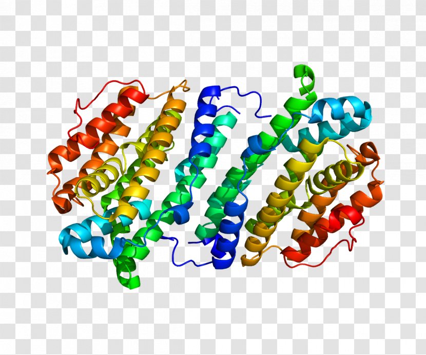 RRM2B Ribonucleotide Reductase Ribonucleoside Gene - Ataxiatelangiectasia - Body Jewelry Transparent PNG