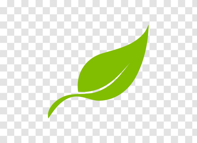 Leaf Logo Brand Plant Stem - Folha Transparent PNG