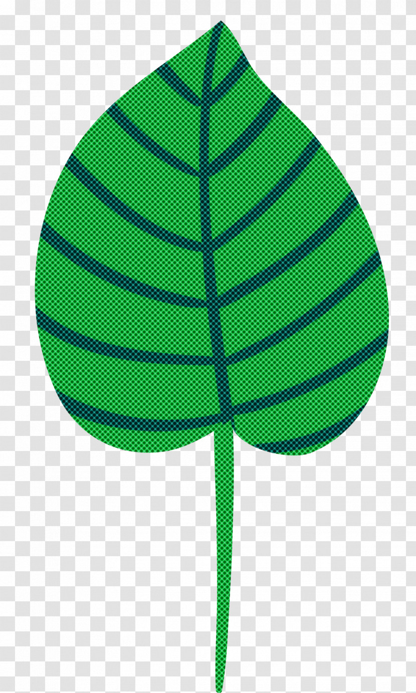 Leaf Plant Stem Photosynthesis Photosynthetic Pigment Petal Transparent PNG