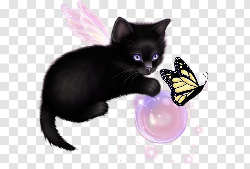 Cat Kitten Image Drawing Illustration - Painting Transparent PNG