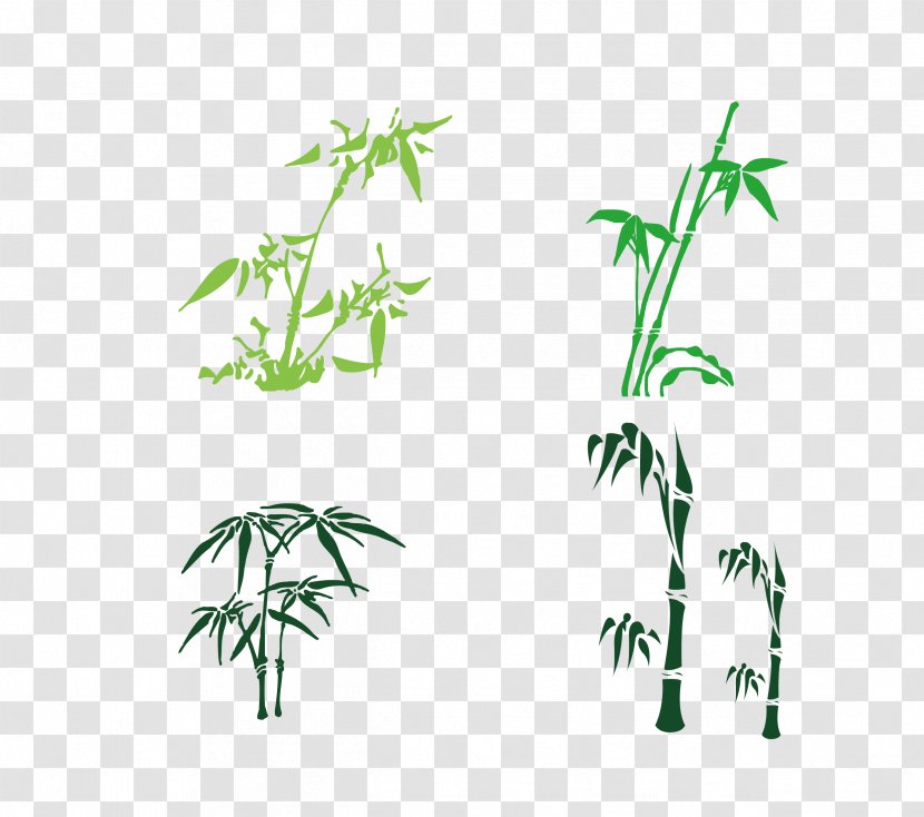 Bamboo - Branch - Various Forms Of Vector Material Transparent PNG