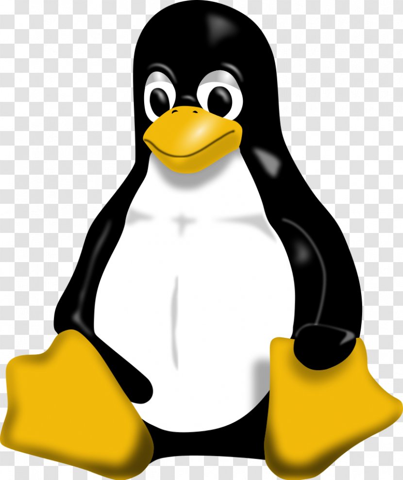 Tux Racer Penguin Linux - Foundation - Tuxedo Transparent PNG