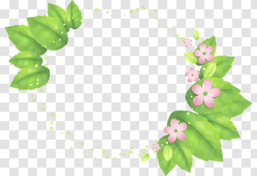 Leaf Green Plant Flower Clip Art Transparent PNG