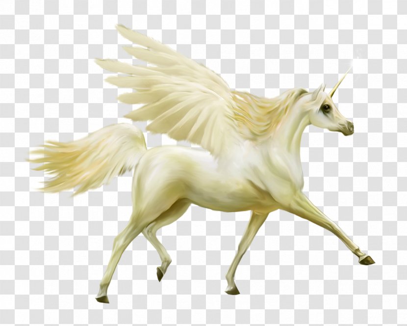 Howrse Horse Pegasus Unicorn - Gimp Transparent PNG