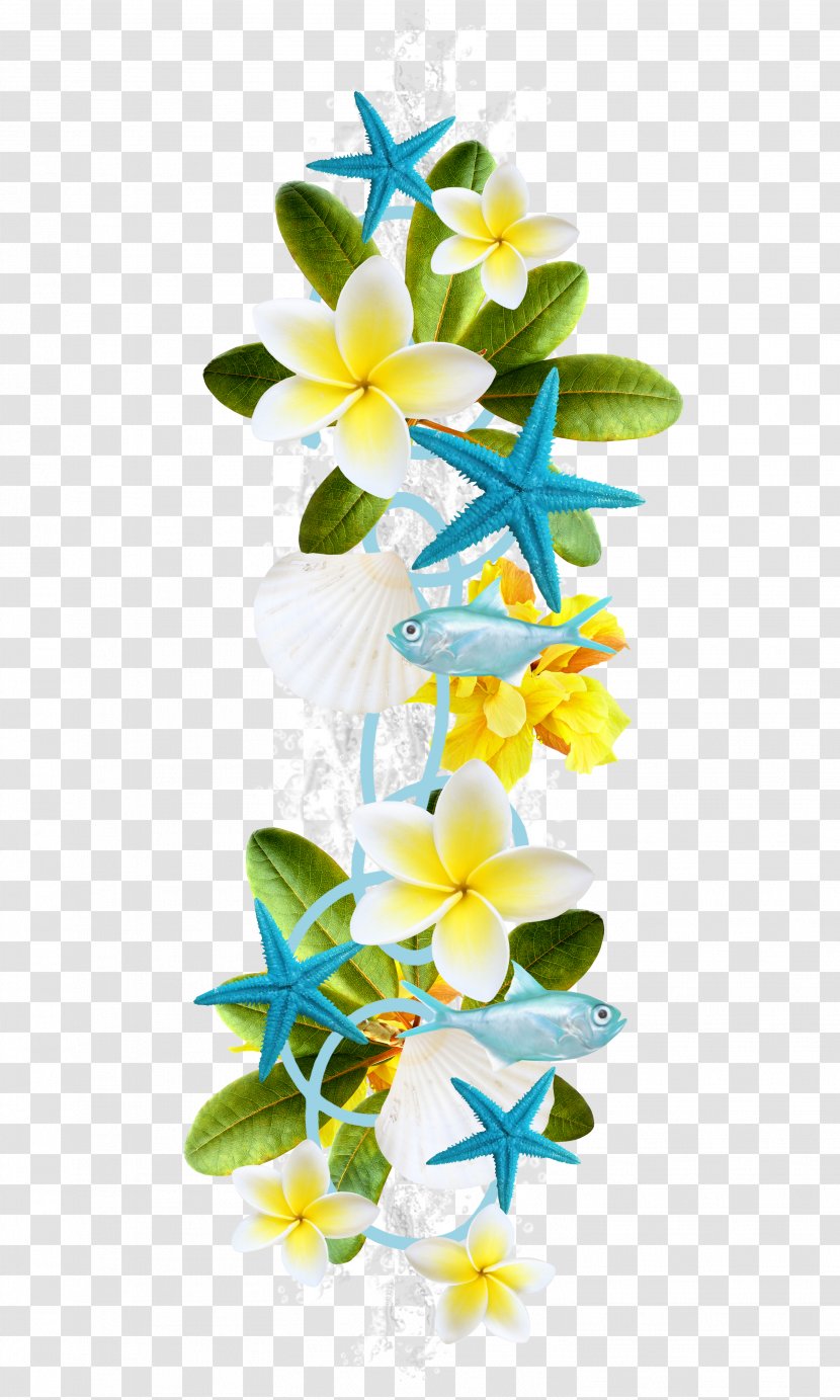 Petal Flower Plant Floral Design - Arranging - Beautiful Blue Flowers Starfish Transparent PNG