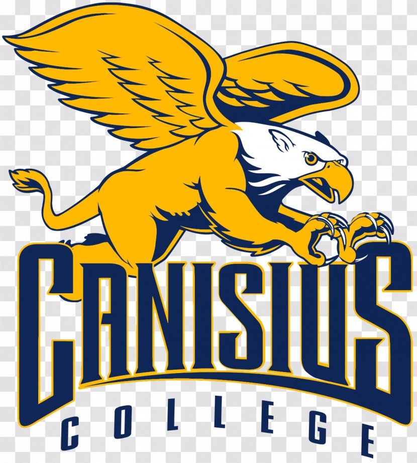 Canisius College Golden Griffins Men's Basketball Women's West Virginia Mountaineers Robert Morris University - Division I Ncaa Transparent PNG