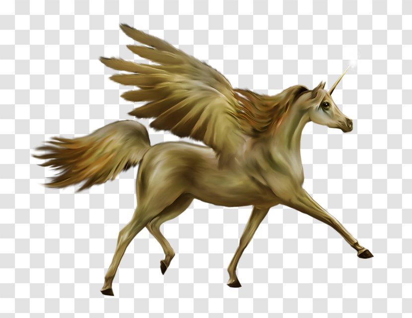 Howrse Horse Unicorn Pegasus - Wildlife - Myth Transparent PNG