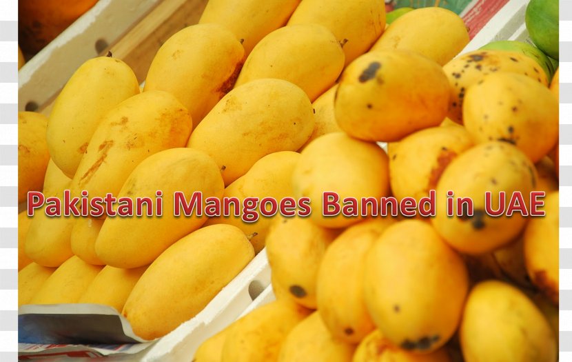 Sindhri Mango Karachi Fruit Federation Of Pakistan Chambers Commerce & Industry - Natural Foods Transparent PNG