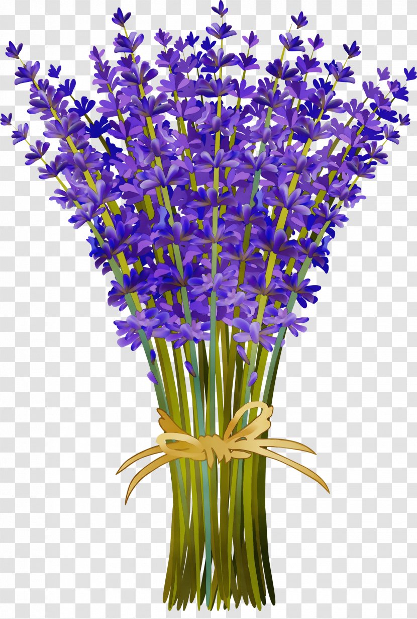 Bouquet Of Flowers Drawing - English Lavender - Plant Stem Transparent PNG