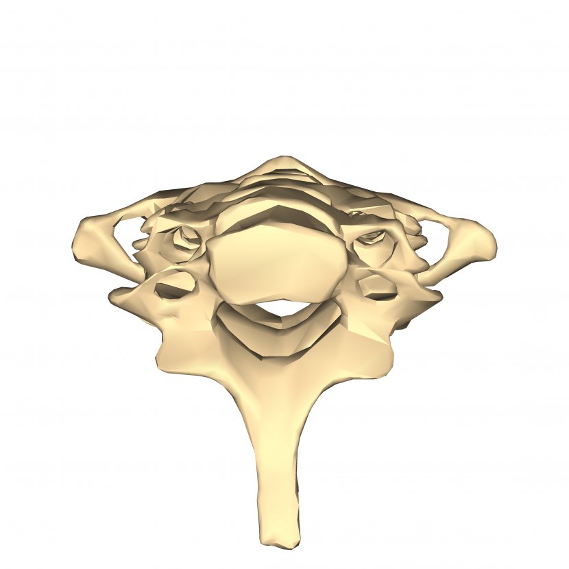 01504 Gold - Jewellery - Vertebra Transparent PNG