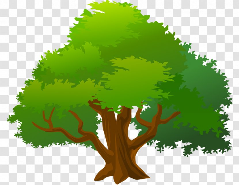 Tree Clip Art - Organism Transparent PNG