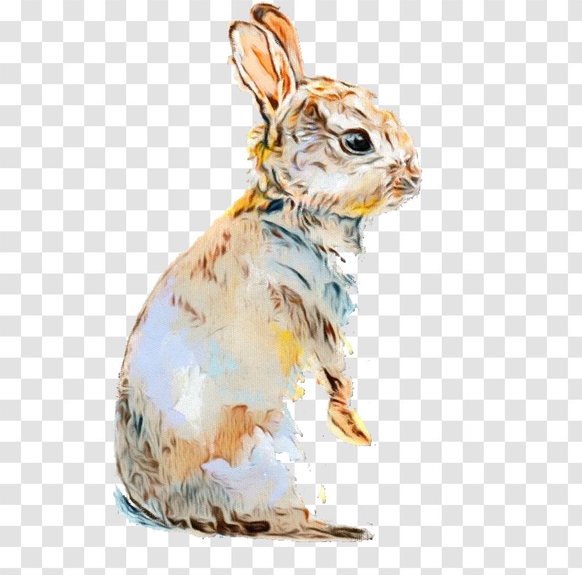 Watercolor Animal - Hare - Drawing Figure Transparent PNG